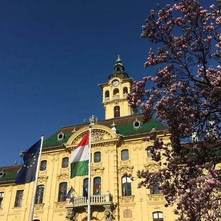 Schaeffer Palace *